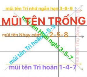 Các mũi tên trống trong Biểu đồ ngày sinh