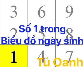 SỐ 1 TRONG BIỂU ĐỒ NGÀY SINH