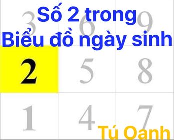 SỐ 2 TRONG BIỂU ĐỒ NGÀY SINH