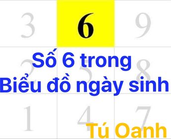 SỐ 6 TRONG BIỂU ĐỒ NGÀY SINH