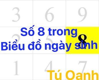 SỐ 8 TRONG BIỂU ĐỒ NGÀY SINH