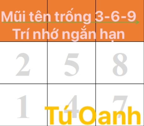 MŨI TÊN TRỐNG 3-6-9: TRÍ NHỜ NGẮN HẠN