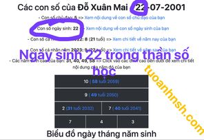 Ngày sinh 22 trong thần số học