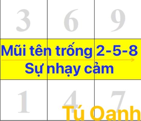 MŨI TÊN TRỐNG 2-5-8: SỰ NHẠY CẢM