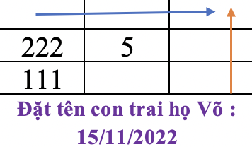 Đặt tên con trai theo thần số học - Con họ Võ, ngày sinh 15/ 11/2022