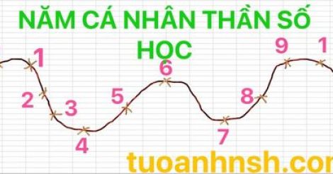 Năm cá nhân thần số học 2023 - Cách tính năm cá nhân