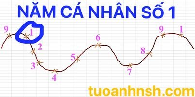 Năm cá nhấn số 1