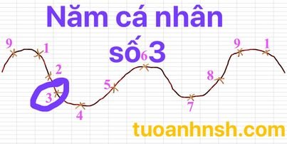 Năm cá nhân số 3