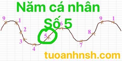 Năm cá nhân số 5