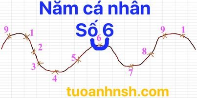 Năm cá nhân số 6