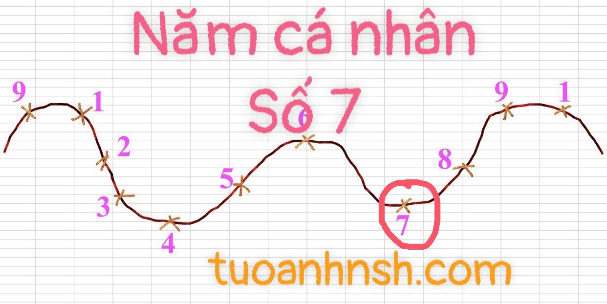 Năm cá nhân số 7