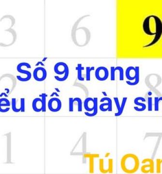 Số 9 trong biểu đồ ngày sinh