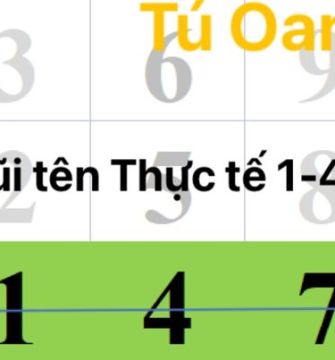 MŨI TÊN THỰC TẾ 1-4-7