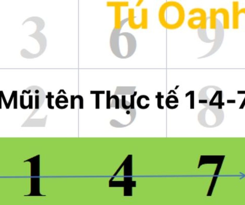 MŨI TÊN THỰC TẾ 1-4-7